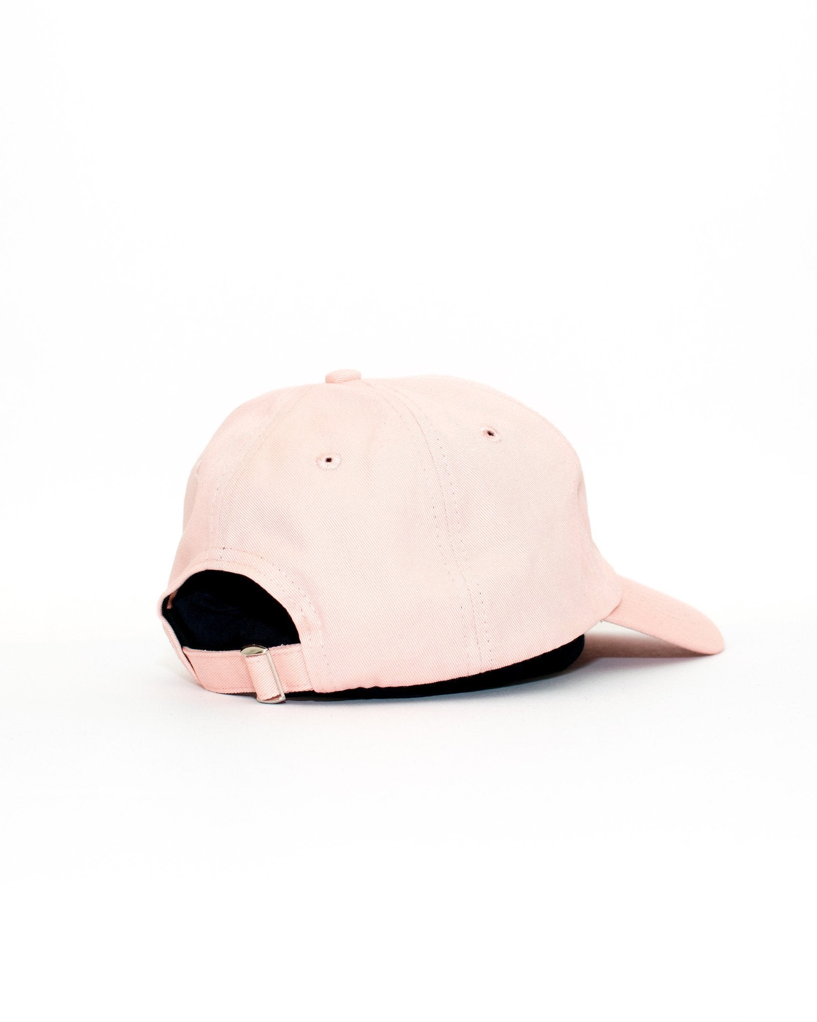 Dog Filter Dad Cap